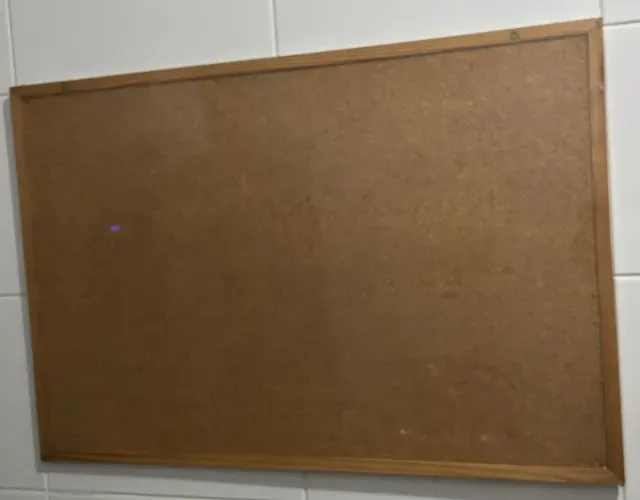 Quadro de Cortiça acompanha percevejos (tachinhas)