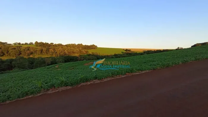 Sítio à venda, 459800 m² por R$ 7.500.000,00 - Alto Alegre - Cascavel/PR