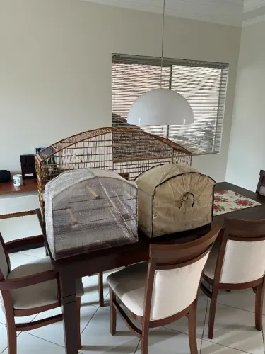 Conjunto de gaiolas malha larga