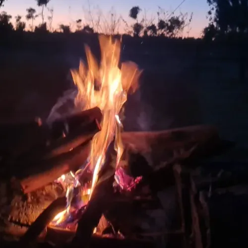 Lenha para fogueira, pira, lareira, fogo de chão, costelão, parrilla, forno de pizza