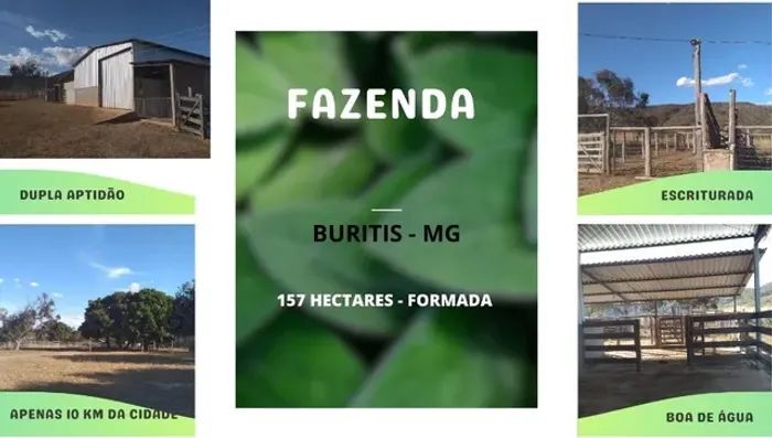 Fazenda em Burtis MG a venda um oasis rural 33 alqueires