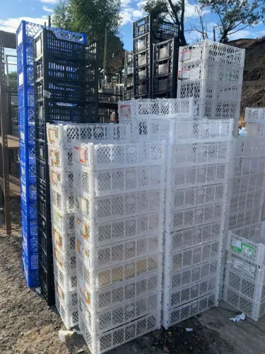Caixas de alho 23154