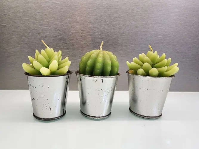Trio Vintage de Vasos com velas Decorativas Cactos e Suculentas 10cm altura
