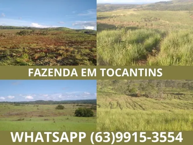 Fazenda Lavoura Gado, Vendo em Tocantins Porto Nacional