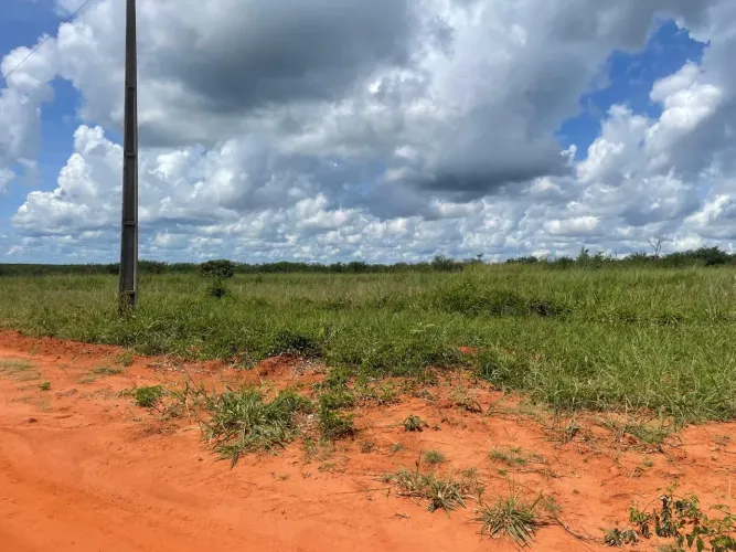Fazenda arrendamento 1.000hec nova ubiratã MT.