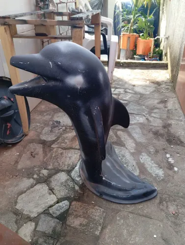 Golfinho pra piscina