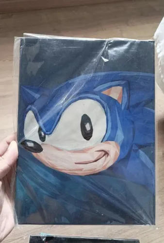 Quadro Sonic - Decoração Geek