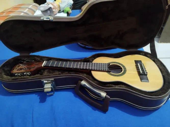 Cavaquinho ROZINI Paulistinha com Case