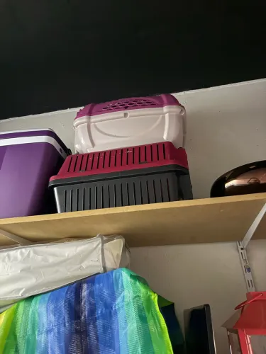 Casinha de cachorro para viagem 