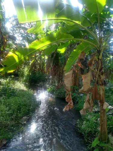 granja com 16 hectares na região de pureza cortada pelo rio perene