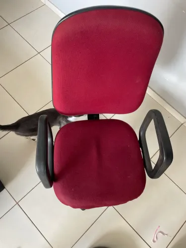 Cadeira de escritório oportunidade