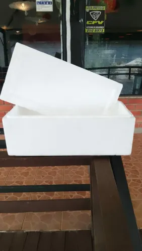 CAIXA DE ISOPOR 100L