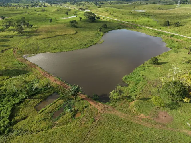 Fazenda à venda, em Feijó Acre.