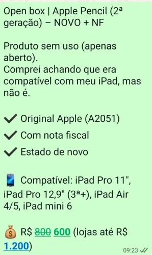 Caneta Ipad nova