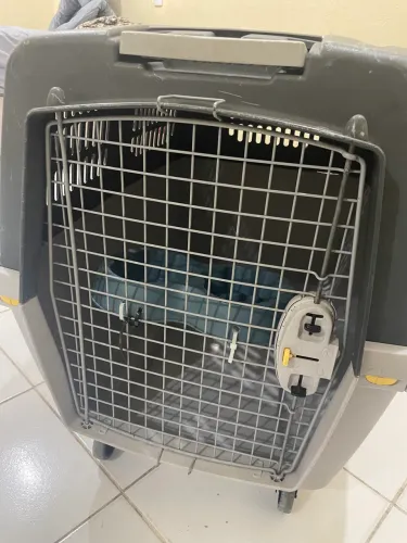 Caixa transportadora de cachorro