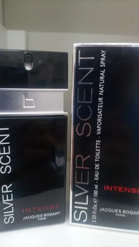 PERFUME IMPORTADO SILVER SCENT 