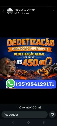 Dedetização de rato 