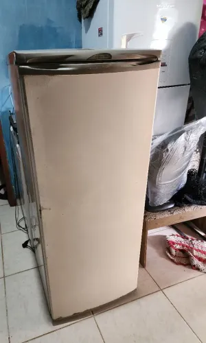 Geladeira Electrolux 220Volts 310 Litros 