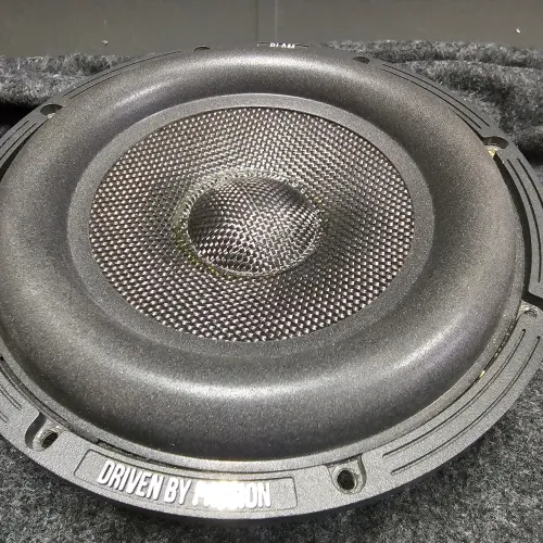 Subwoofer 8" Blam Áudio Signature WS 8.120