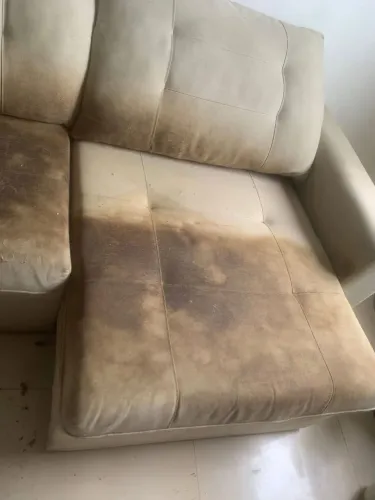 Limpeza e higienenizaçâo De Sofá- lavagem a seco 
