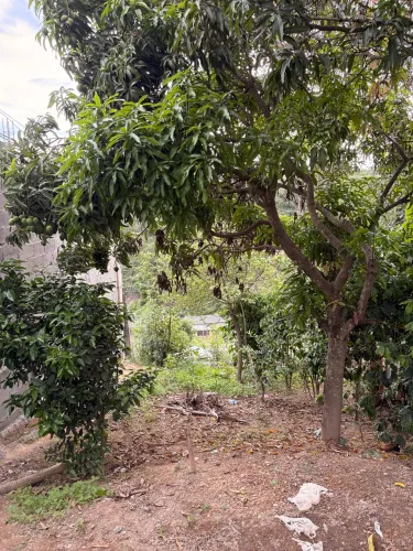 LOTE 180M² EM MATOZINHOS | R$20 MIL | ACEITO CARRO NA TROCA