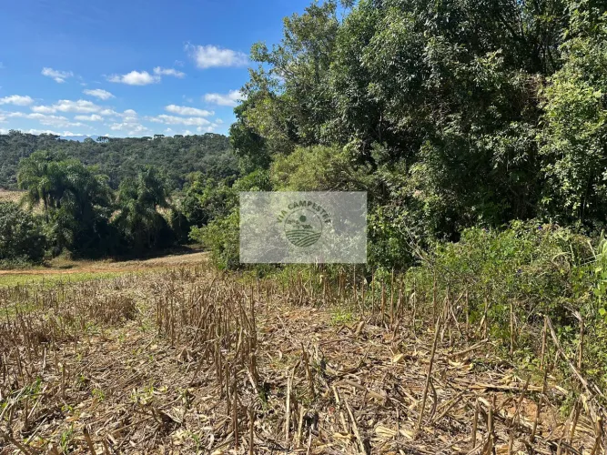 Terreno para sitio com 5.000 m², já com agua e luz instalados, 4 km do asfalto