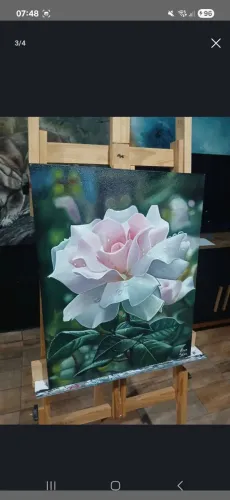 Tela Pintura a Óleo Rosa