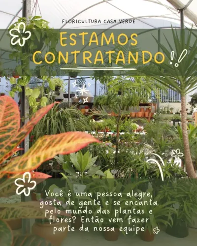Atendente em floricultura em Capoeiras