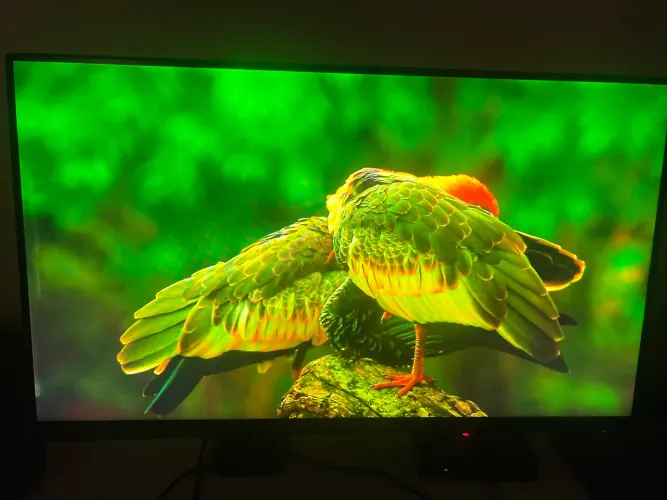 MONITOR DELL ALIENWARE AW2521HF 240HZ