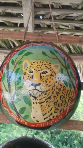 Cuias Pintadas