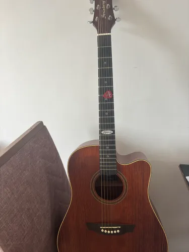 Violão Elétrico Strinberg