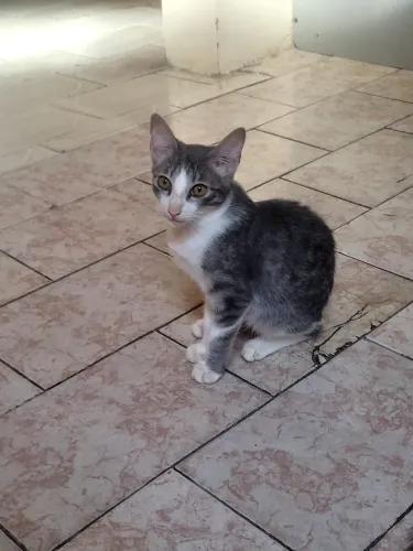 Doação
