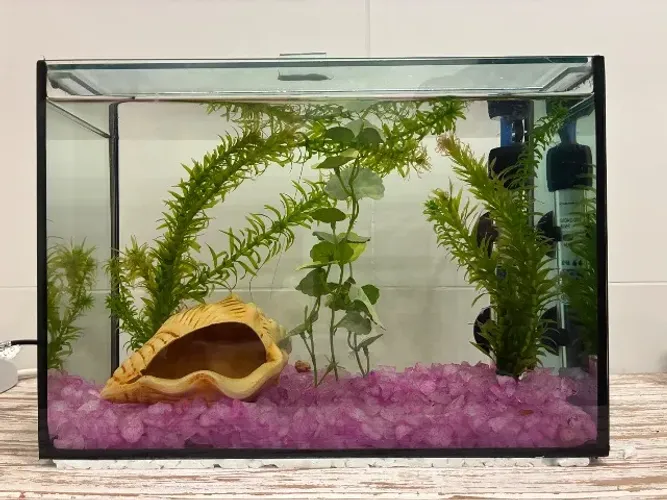 Aquário 7,5L completo para Betta