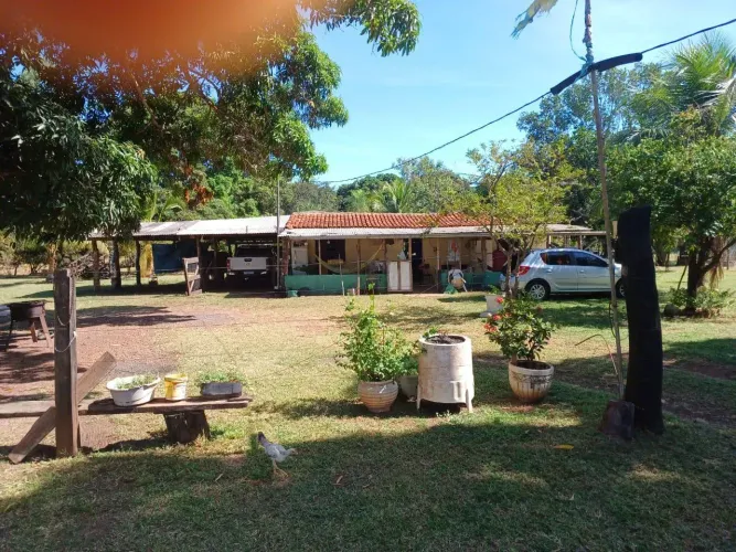 FAZENDA À VENDA 100 HECTARES | PRONTA PARA PRODUÇÃO