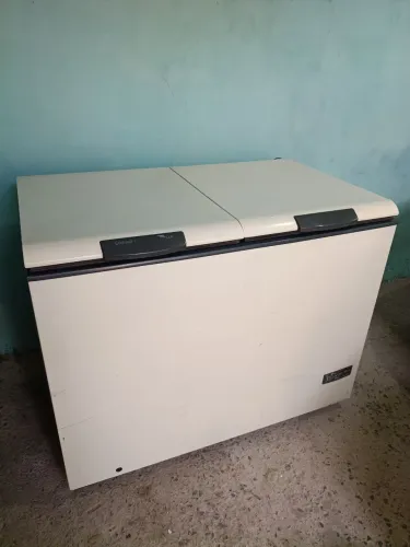 Freezer horizontal RS 400,00
