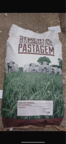 Semente de capim 