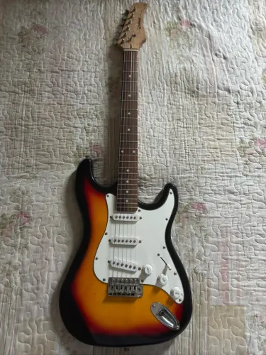 Guitarra Waldman