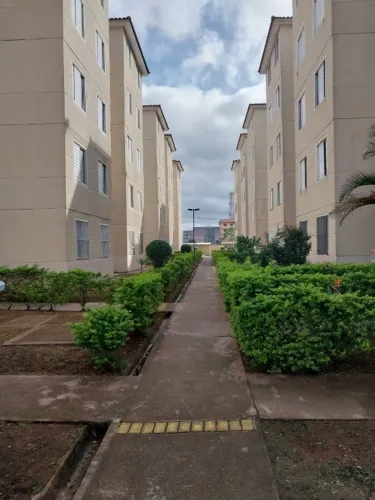 Apartamento - Aluguel.