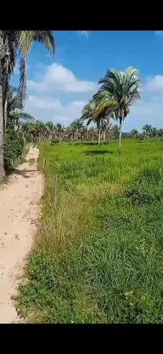 Terra venda