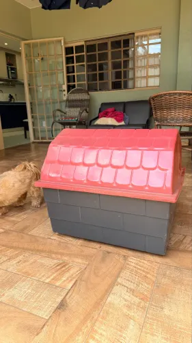 Casinha de cachorro 