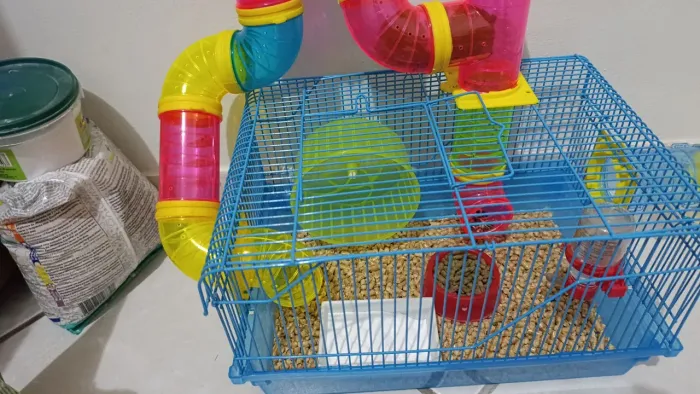 Hamster