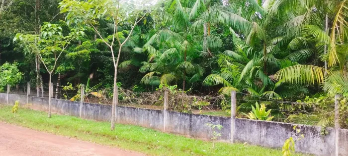 Condominio Ecologico Amazonflora 