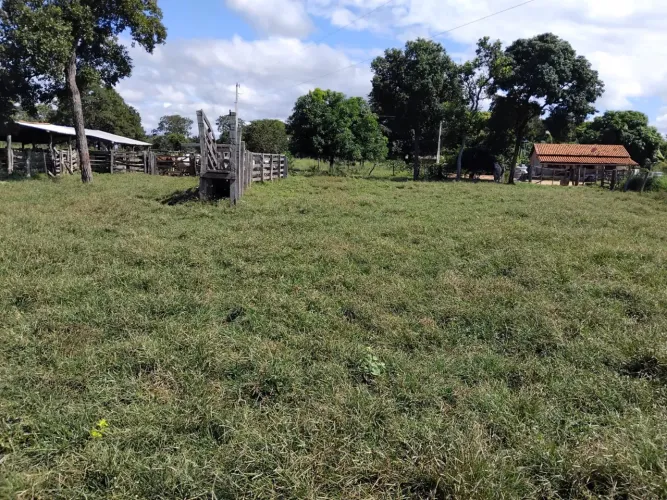 Vendo fazenda MG