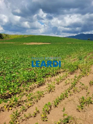 FAZENDA - CENTRO - MG