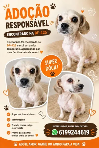 Adoção responsável