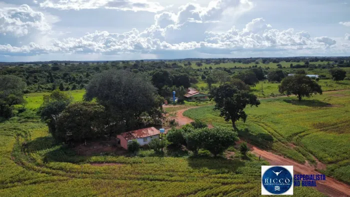 Fazenda à Venda 1.243 Hectares (257 Alqueires) Formoso do Araguaia (TO)
