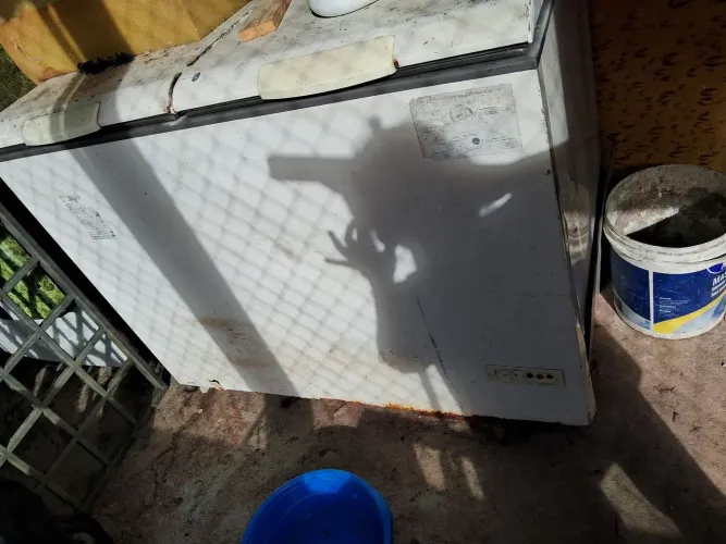 Vendo freezer e expositor
