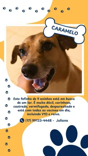 DOAÇÃO 