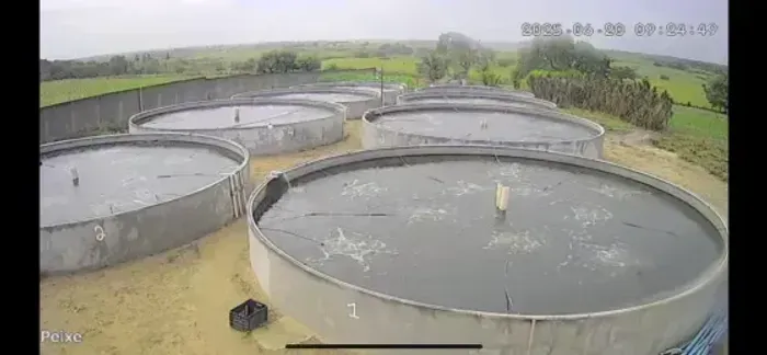 granja com 2 hectares bastante estruturada