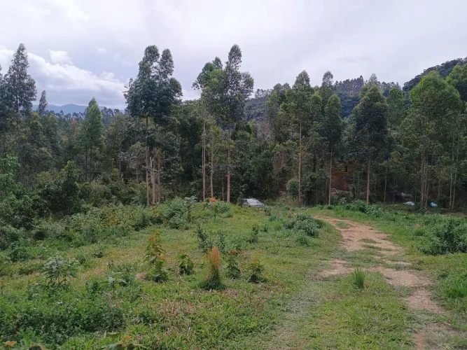 ANITÁPOLIS/SC - Ótimo terreno para sítio com 2.8hectares 